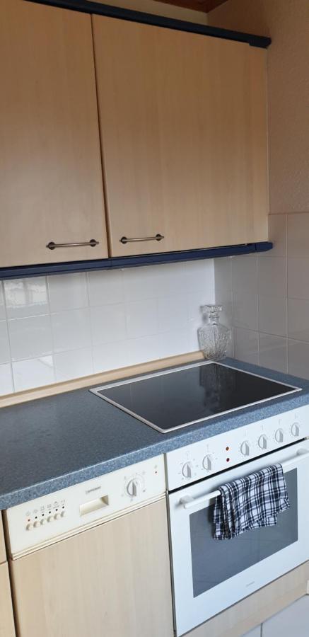 Ferienwohnung Stadtvilla Магдебург Екстериор снимка